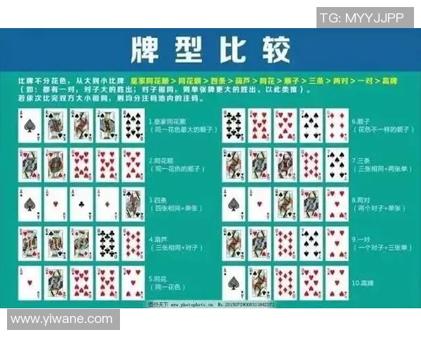 梭哈智慧与德州扑克的深度解析与策略探讨